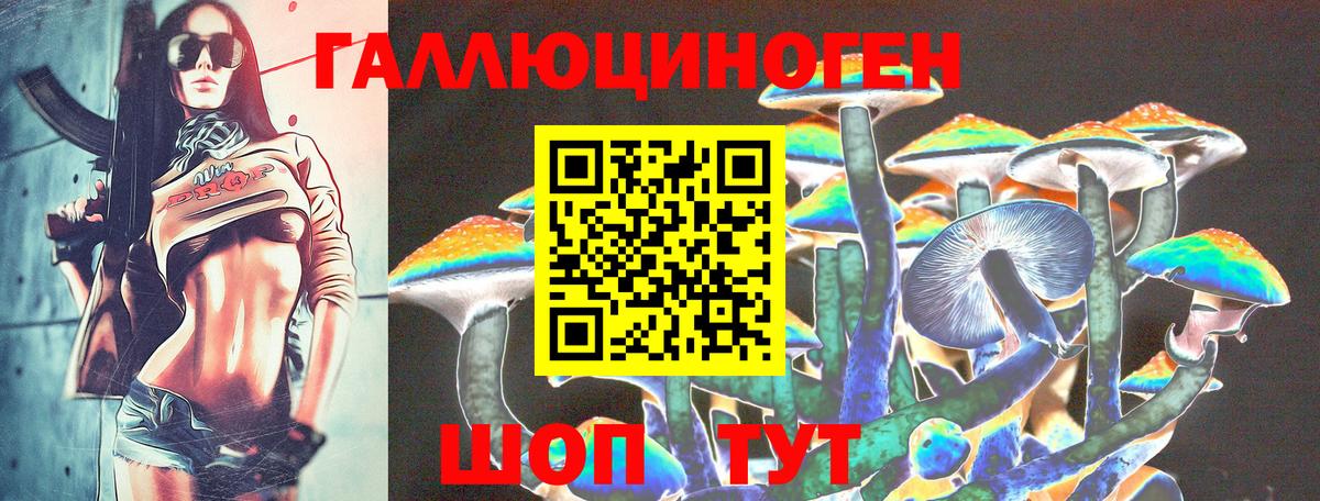 Псилоцибиновые грибы Psilocybine cubensis  магазин продажи   Новый Уренгой  Вход с VPN 